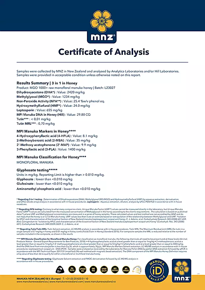 Esempio di certificato